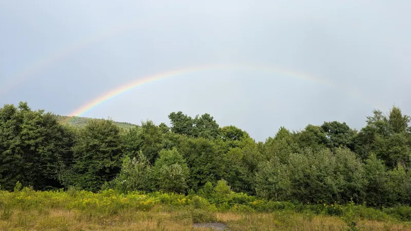 Hiking trail near the campground