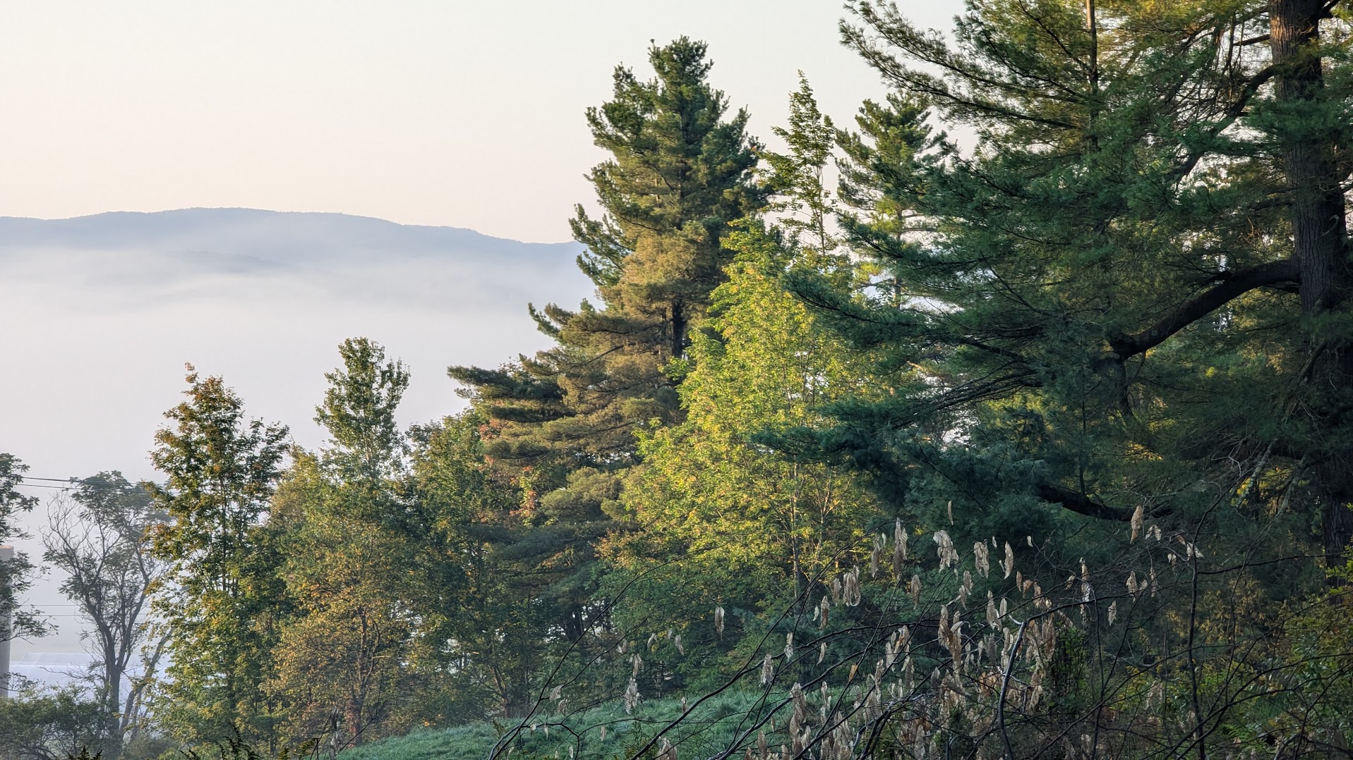 Hill view from the campground