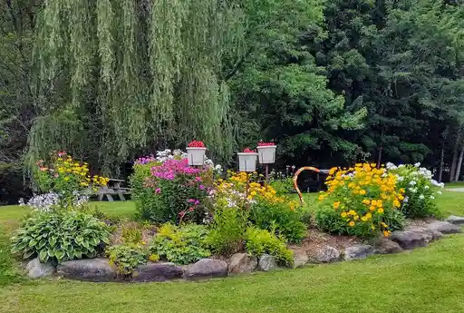 Beautiful flower beds in this campground 