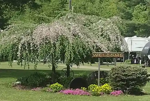 Guest photo from the campground