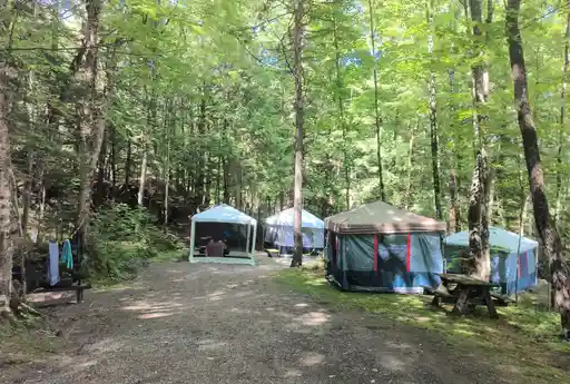 This is a RV or tent site with ample space.
