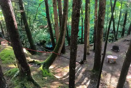 Site 29