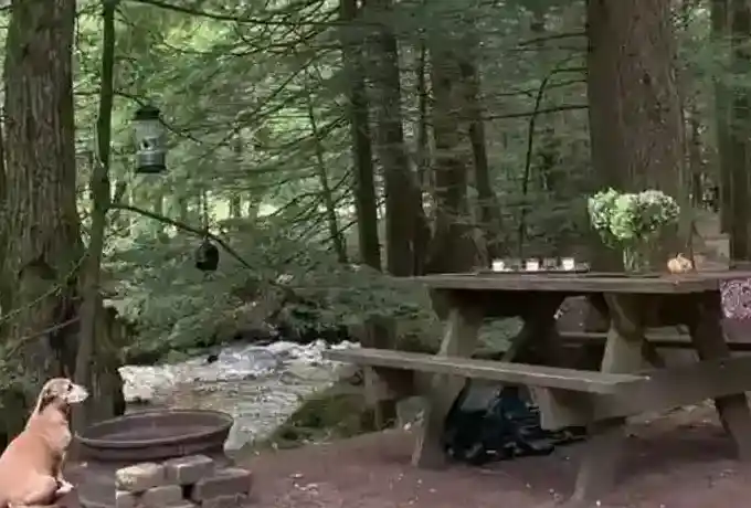 Beautiful relaxing tent site